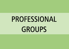 professional professional